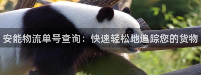 28圈是什么软件