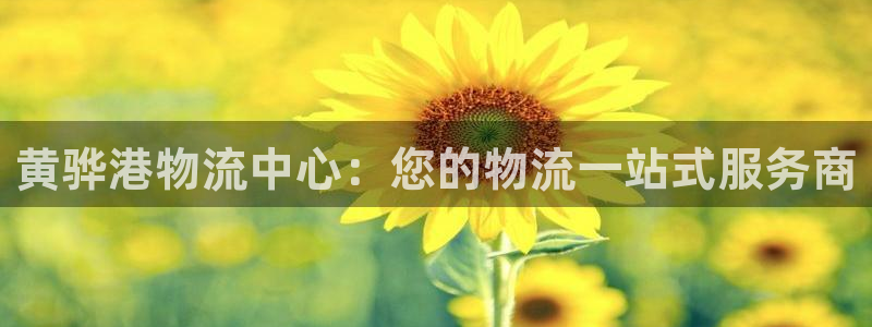 28圈注册入口与教程：黄骅港物流中心