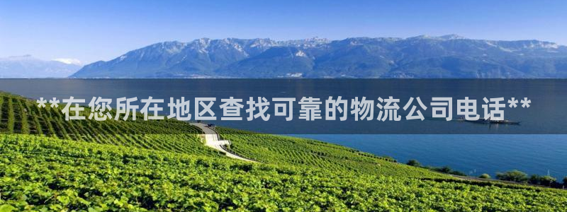 28圈旗下：**在您所在地区查找可靠