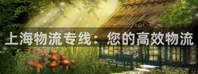 28圈注册网页版