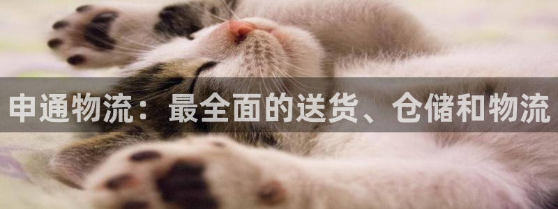 28圈是正规平台吗