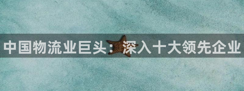 28圈v6能卖多少