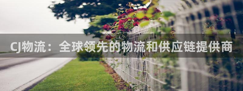 28圈如何看012路计划