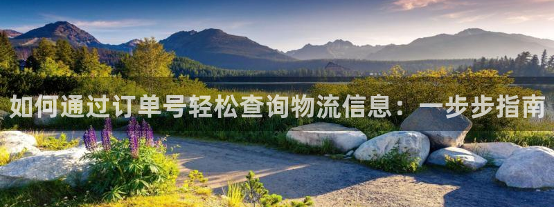 28圈娱乐官网网页下载