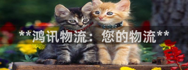 28圈如何注销账号