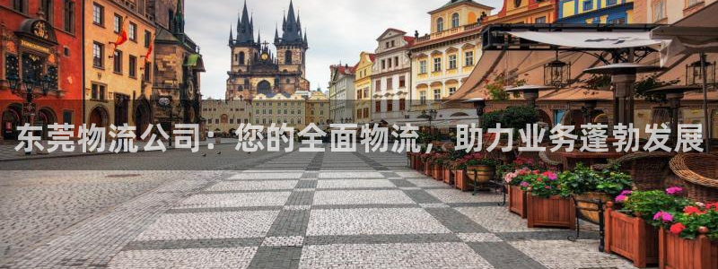 28圈加拿大
