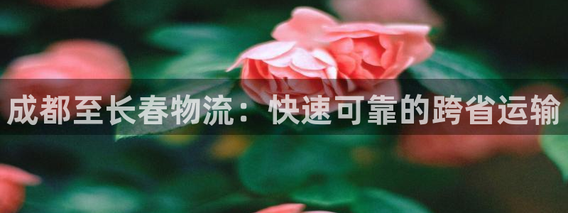 28圈大神预测