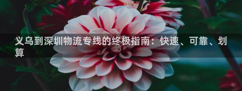 28圈加拿大最新版