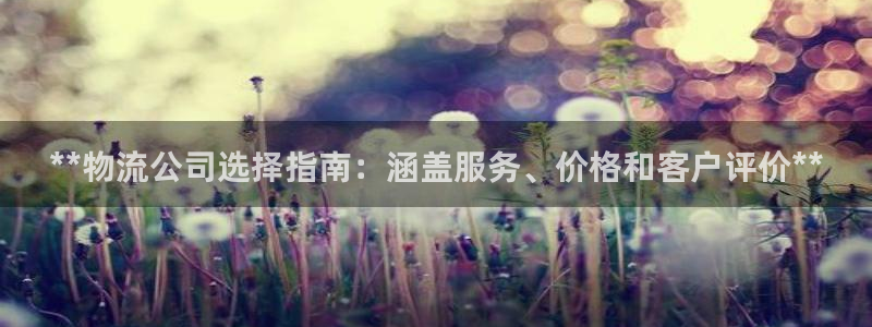 28圈官方网站