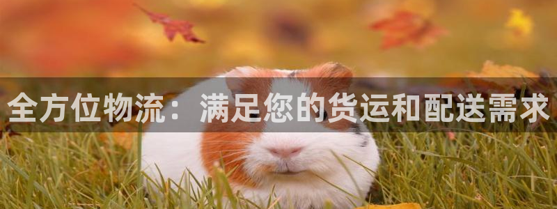 28圈为什么打不开