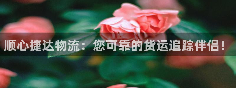 28圈游戏