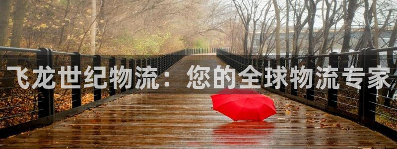 自行车28圈是什么意思
