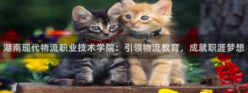 28圈充值不处理会怎么样