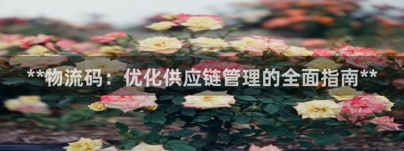 28圈怎么注册账号和密码：**物流码