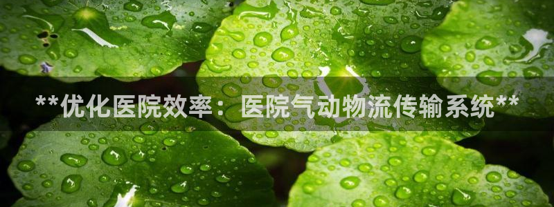 28圈链接是什么