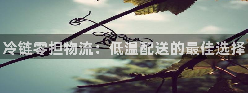 麻将128圈