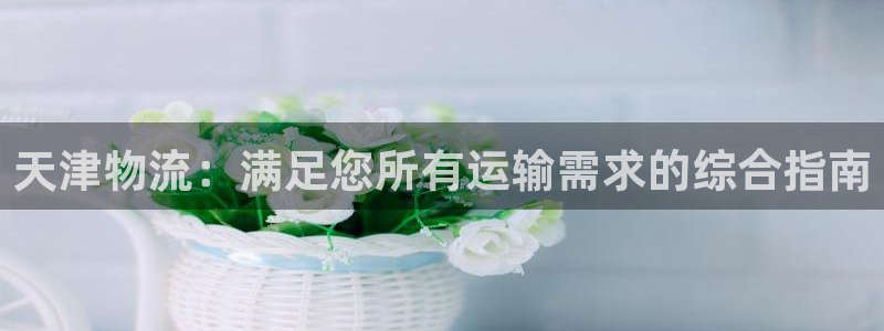 28圈初始资金密码是什么
