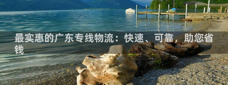 28圈激活码：最实惠的广东专线物流：
