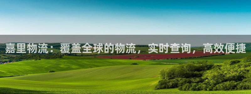 28圈注册登录：嘉里物流：覆盖全球的