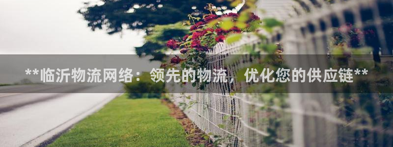 28圈登录流程：**临沂物流网络：领