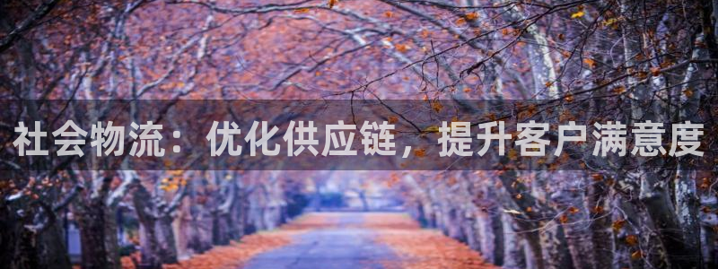 28圈麻将：社会物流：优化供应链，提