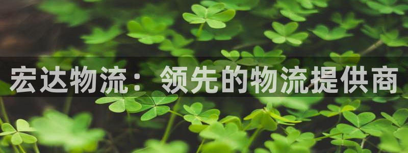 28圈加拿大技巧：宏达物流：领先的物