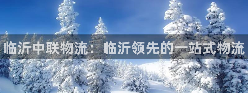 28圈注册网址：临沂中联物流：临沂领