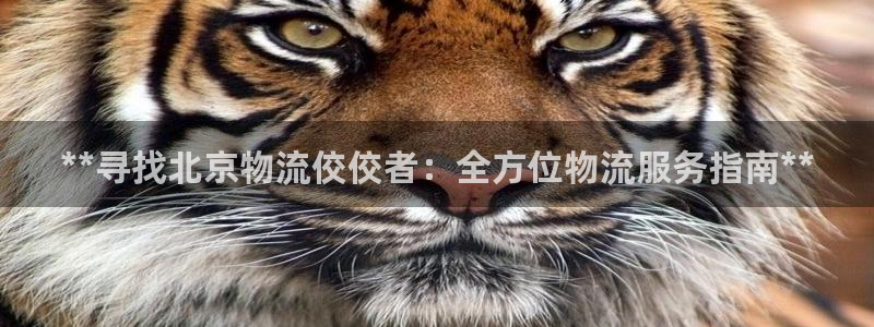 28圈娱乐官网网页下载