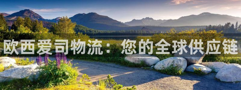 28圈.ccmpc预测