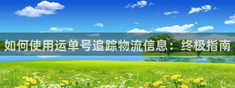 28圈激活码