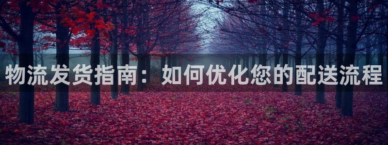 28圈注册上限是啥意思：物流发货指南
