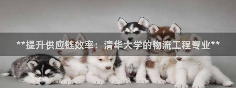 28圈系统自动保护