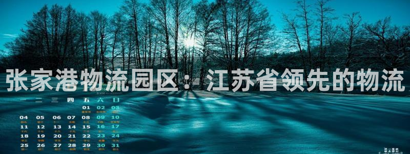 28圈怎么注册下载：张家港物流园区：