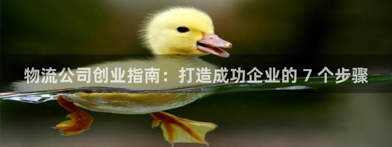 28圈网赌案件