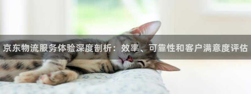 28圈app官网少林足球