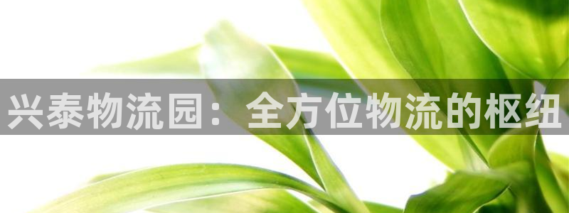 28圈注册网站：兴泰物流园：全方位物