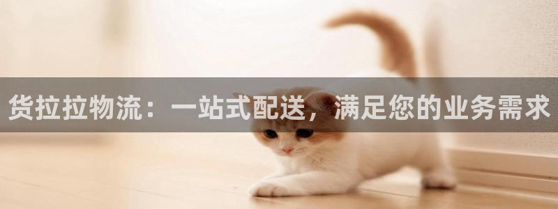 28圈赌博被抓