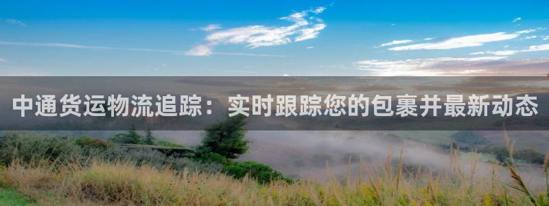 28圈网站平台是多少