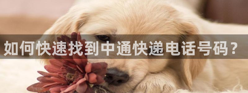 28圈注册网站链接是什么：如何快速找