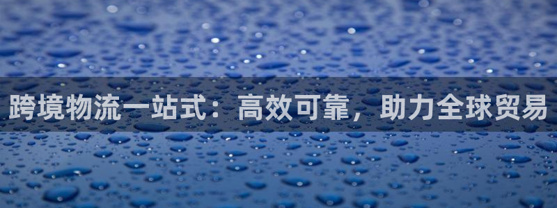 28圈龙虎
