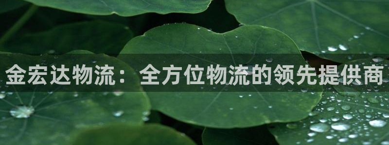 28圈注册网站APP：金宏达物流：全