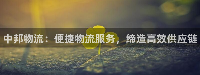 28圈网站平台