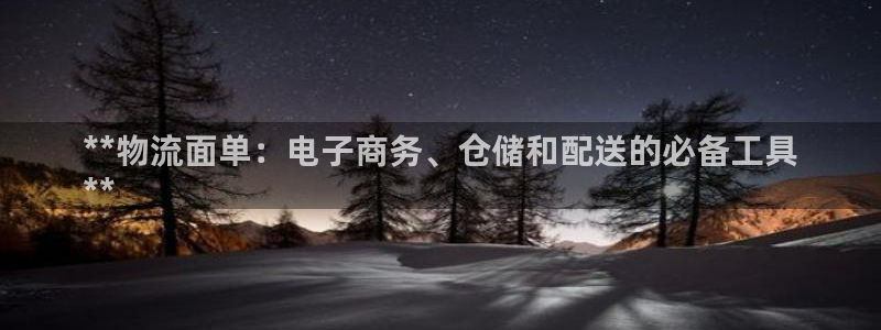 28圈怎么注册：**物流面单：电子商