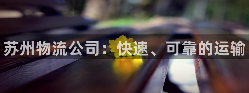 28圈注册链接教程：苏州物流公司：快