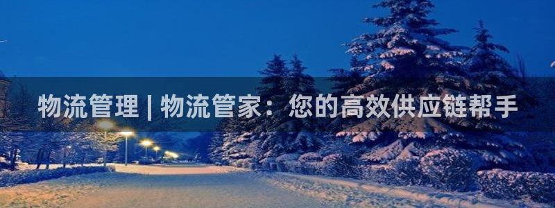 28圈头像：物流管理 | 物流管家：