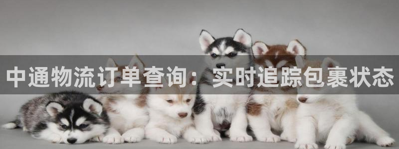 28圈大舞台