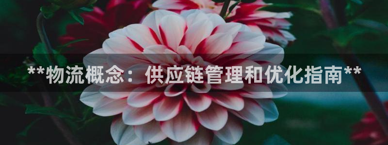 28圈p扣除