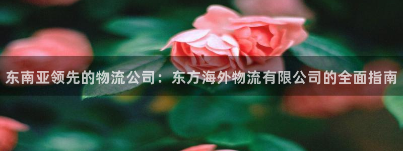 28圈电子游戏：东南亚领先的物流公司
