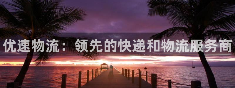 28圈注册网站链接怎么弄：优速物流：