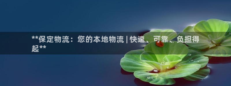 28圈注册网站APP：**保定物流：